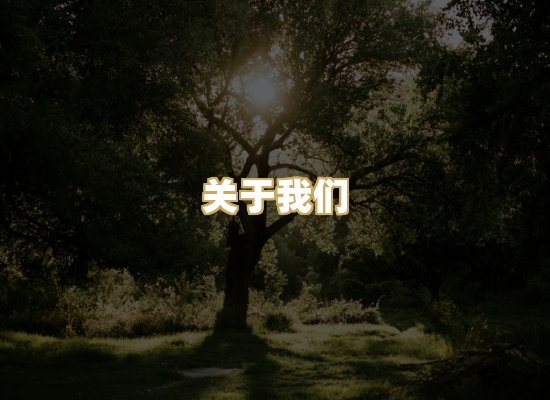 关于我们